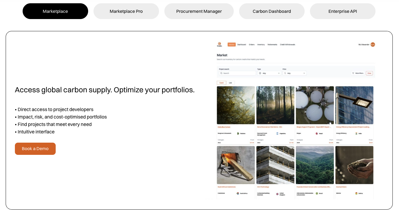 Thallo's carbon credit marketplace showing global projects with portfolio optimisation tools, impact data and project cards for buyers.