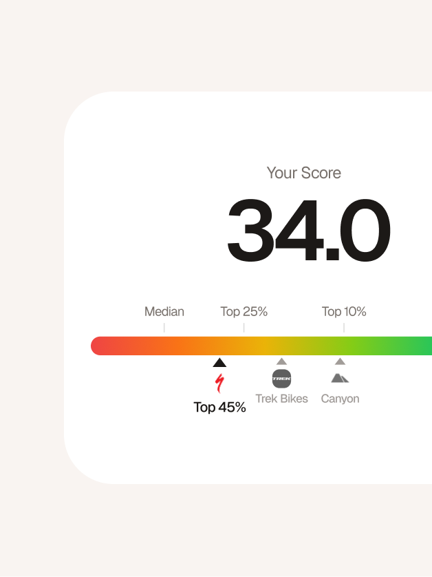 Free AI Visibility Report | Searchable